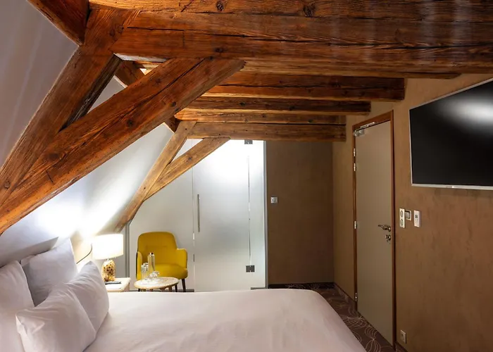 Hotel Restaurant L'orchidee Ensisheim